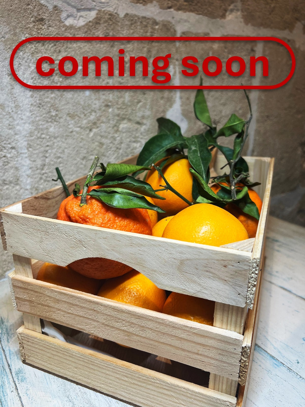 Mallorca Orangen - Majovida Islas Baleares S.L.