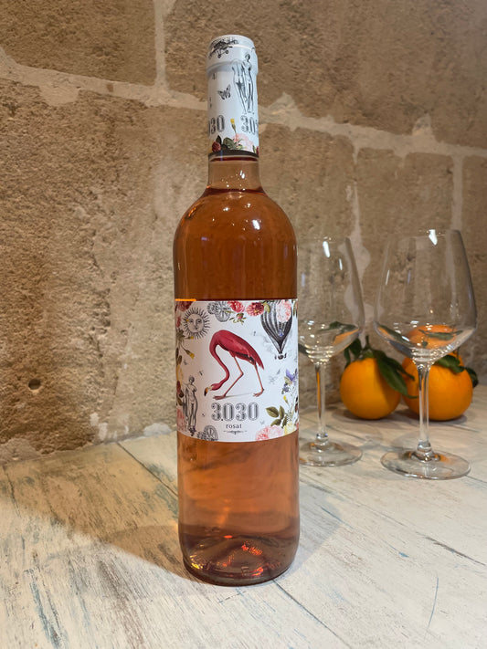 Angel 3030 Rosat